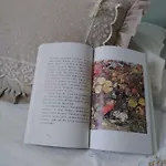 Il Vicolo 48 Bed & Breakfast