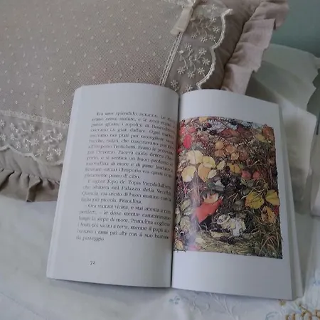 Il Vicolo 48 Bed & Breakfast